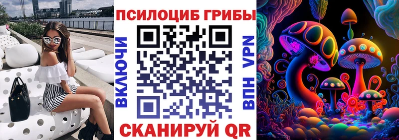 ссылка на мегу ТОР  сколько стоит  Рославль  Псилоцибиновые грибы мицелий 